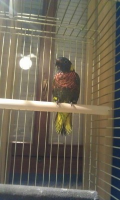 404296_4825952964170_1080806799_n [800x600].jpg