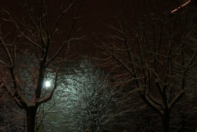 DSC02070 (Copia).JPG