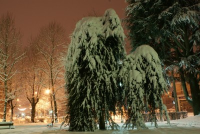 DSC02107 (Copia).JPG