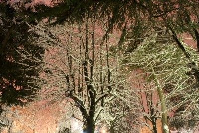 DSC02109 (Copia).JPG