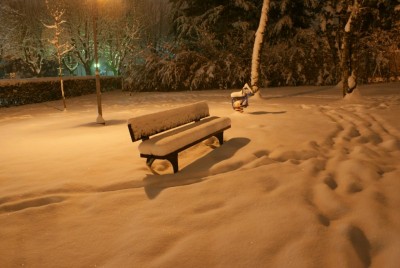 DSC02136 (Copia).JPG