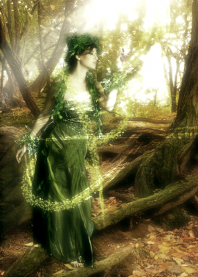 foresta magica copia.png