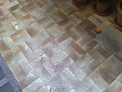 09072011344 - Copia.jpg